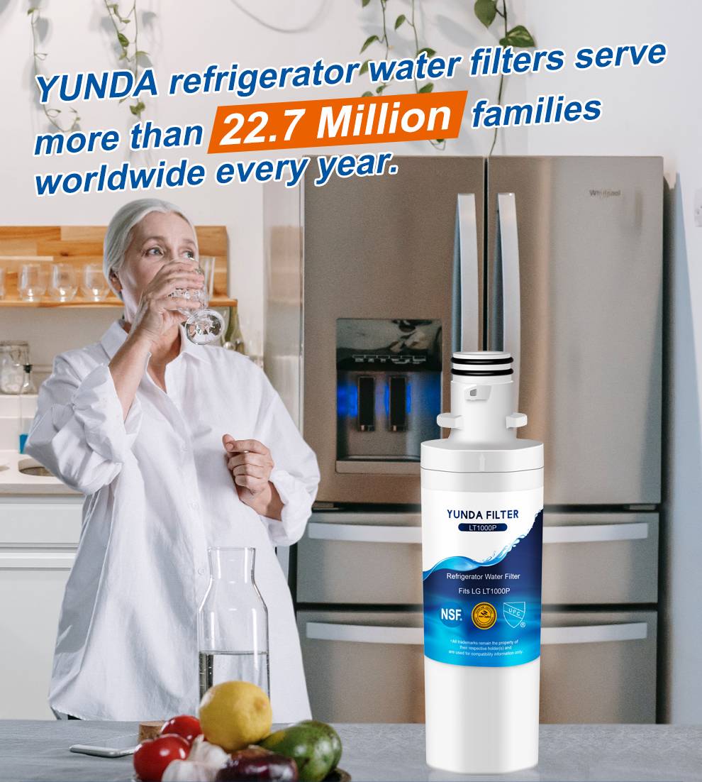 Refrigerator Water Filter Compatible with Kenmore 46-9980